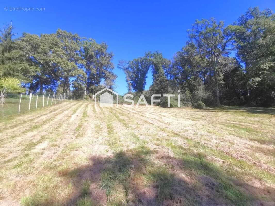 Photo 2 - Terrain à BUROS