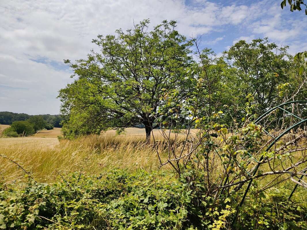 Propriété de caractère à réinventer au cœur de la nature - photo 8