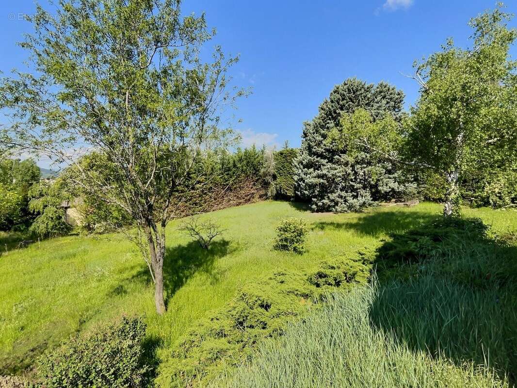 Terrain à VEYRE-MONTON