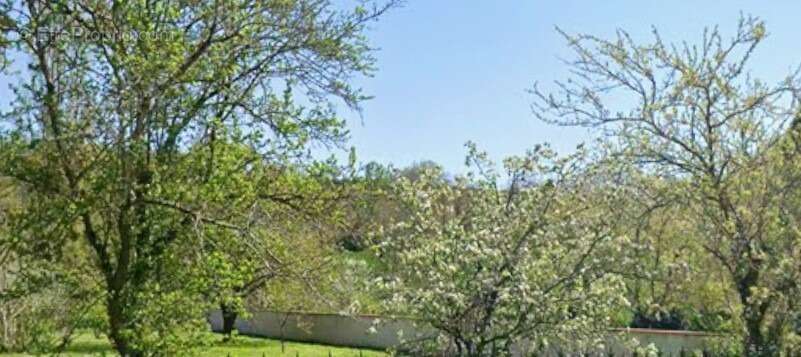 Terrain à GAILLAC-TOULZA