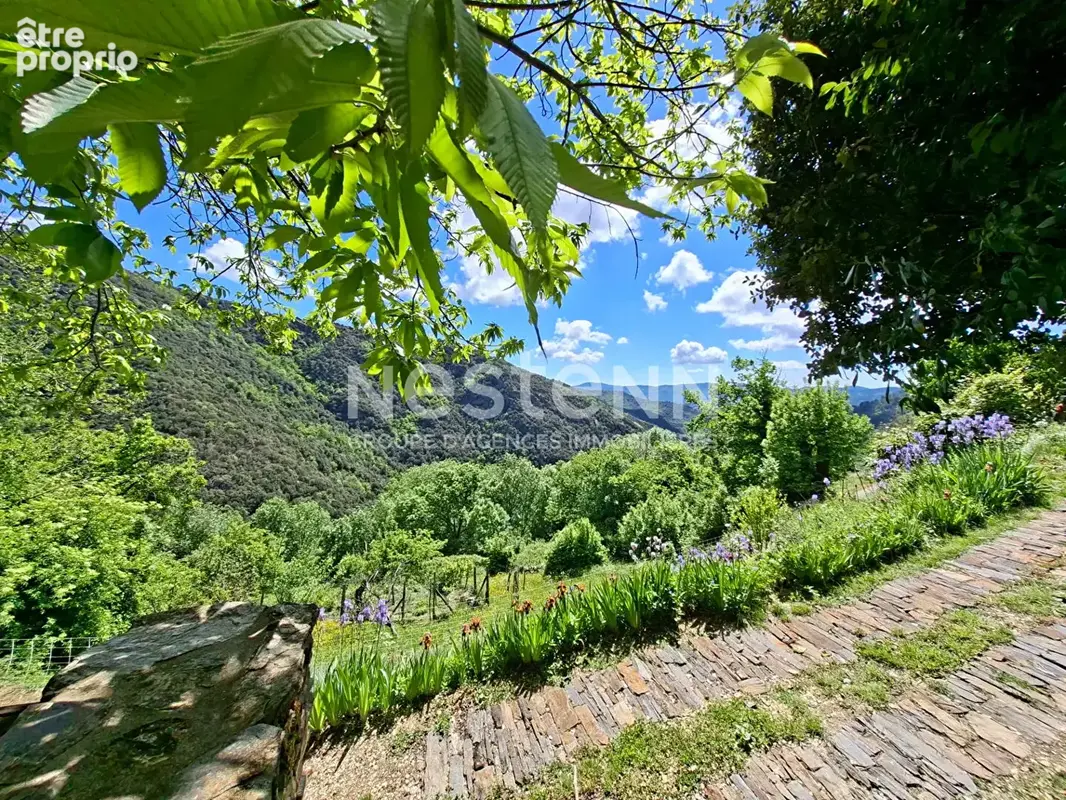 Maison d'Exception à Ventalon en Cévennes - Vue Panoramique, Calme Absolu - photo 8