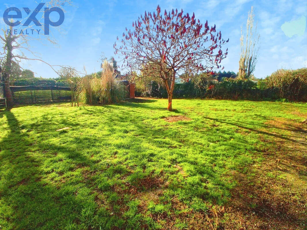 Maison à SAINT-EMILION