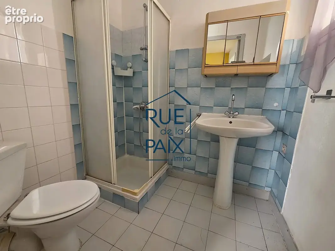 Maison 3 pièces 87 m² à vendre à Poitiers (86000) - photo 5