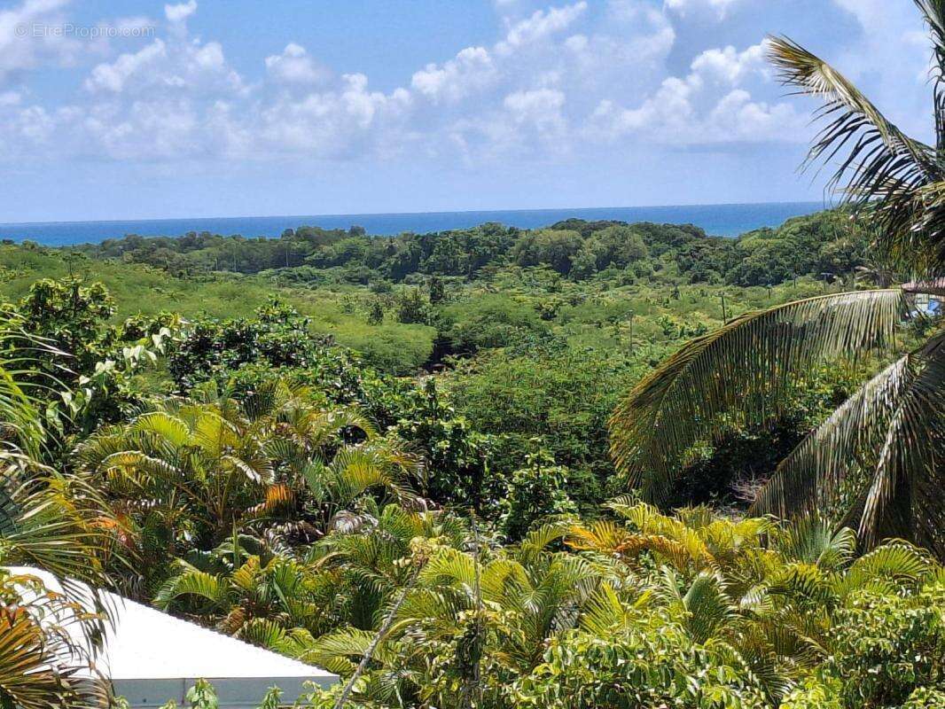 Maison à SAINTE-ANNE