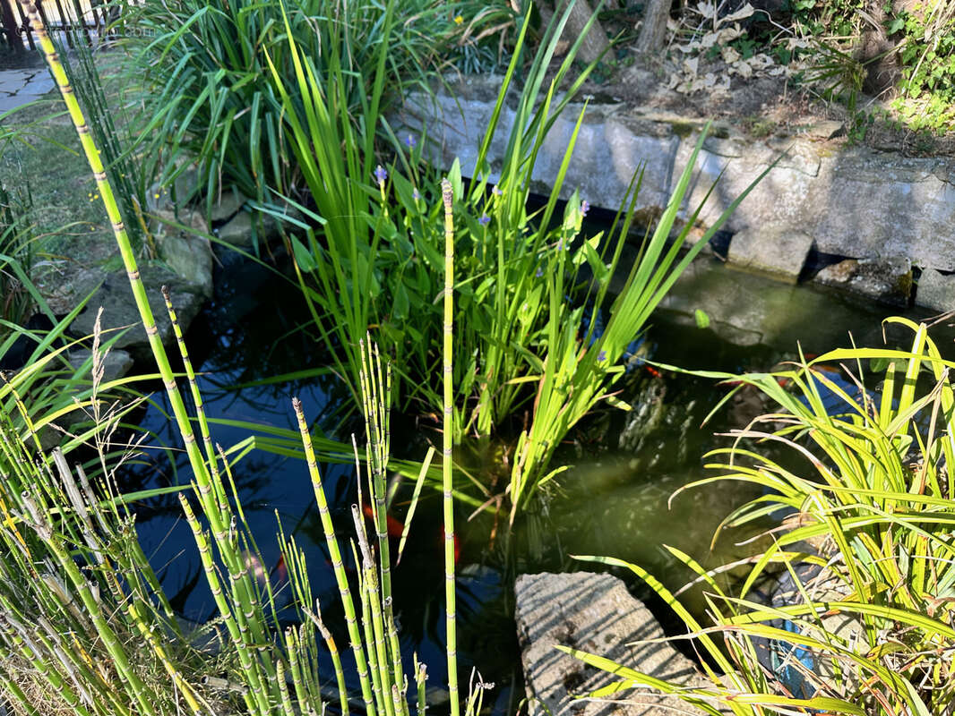 Saint cast a proximite de la plage de la fosse dans un cadre bucolique - photo 12