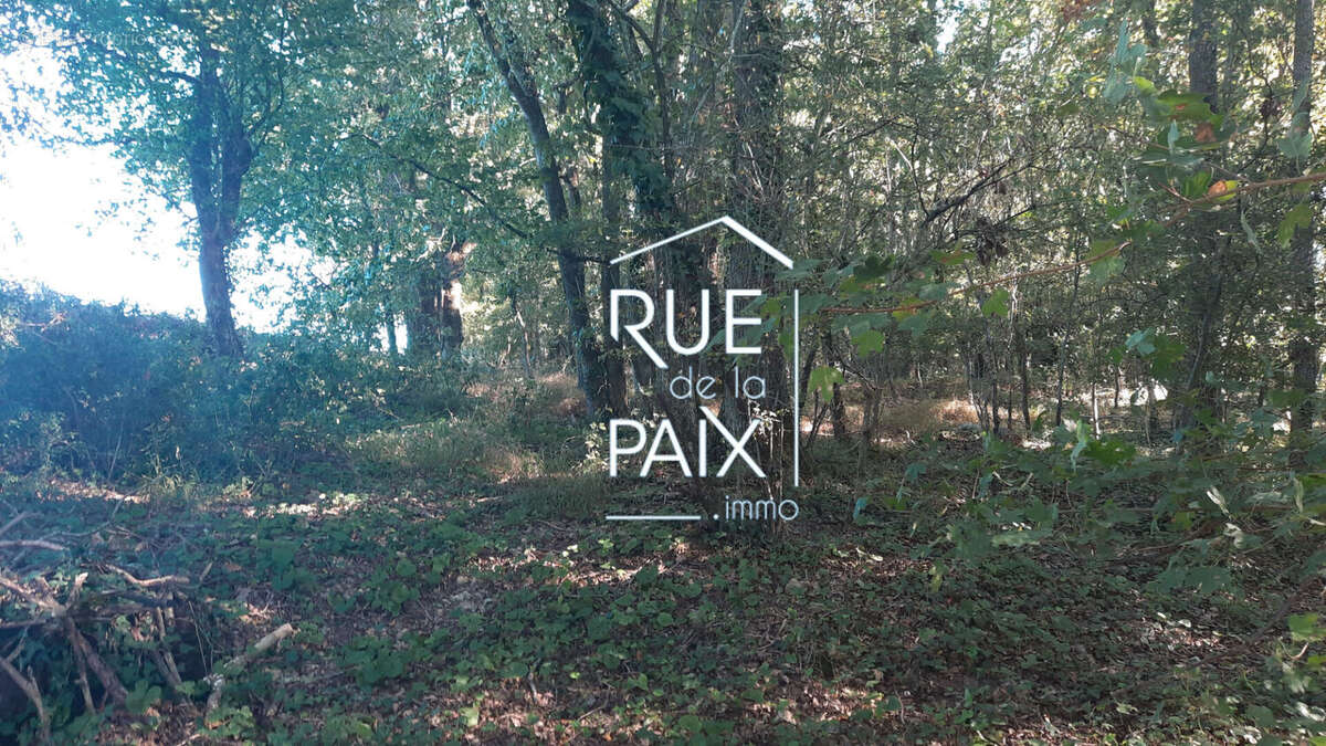 Maison à SAINT-LOUP-LAMAIRE