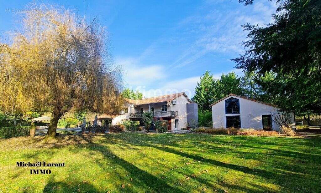 Maison d'architecte + maison indépendante – 5 300 m², piscine - photo 24