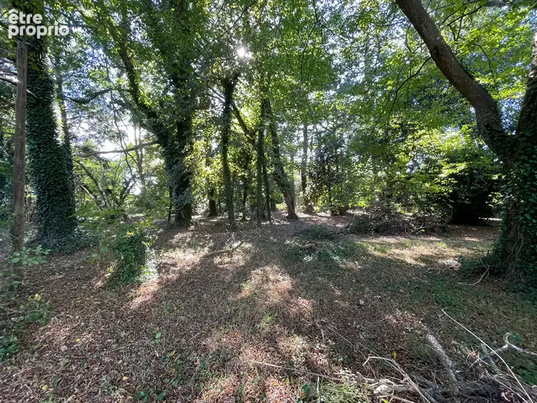 Grande maison familiale à Beg Meil - 175 m², 6 chambres, grand terrain - photo 7