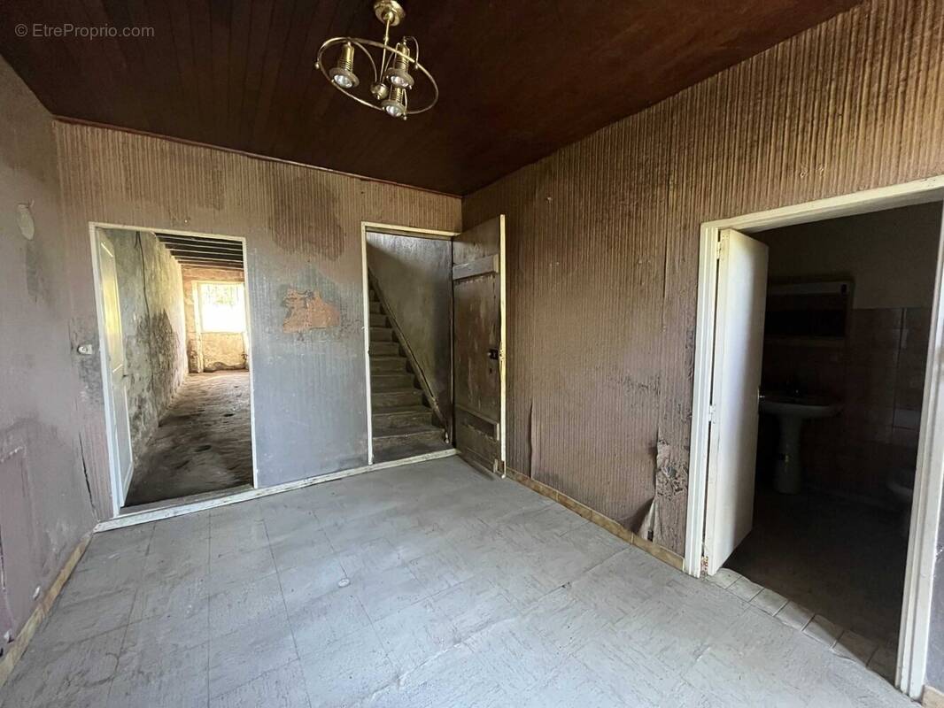 Maison 193 m² à Massignac  - photo 4