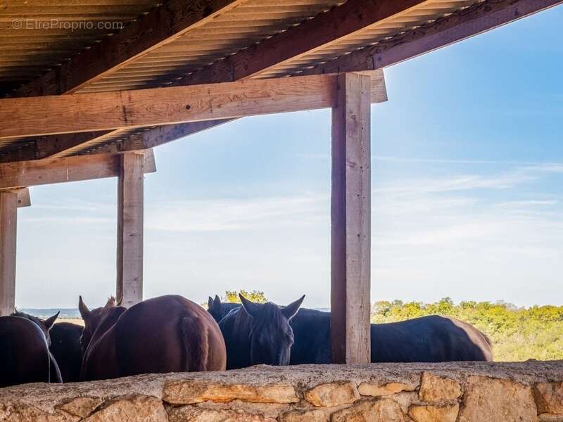 Maison à TOURNON-D&#039;AGENAIS