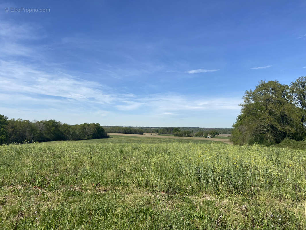 Maison à LABASTIDE-D&#039;ARMAGNAC