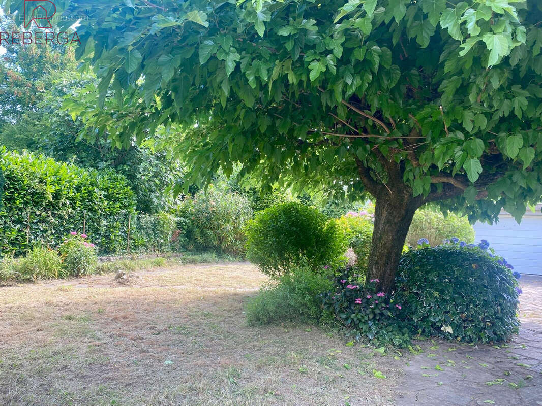 Maison 187 m² à Mazamet  - photo 5