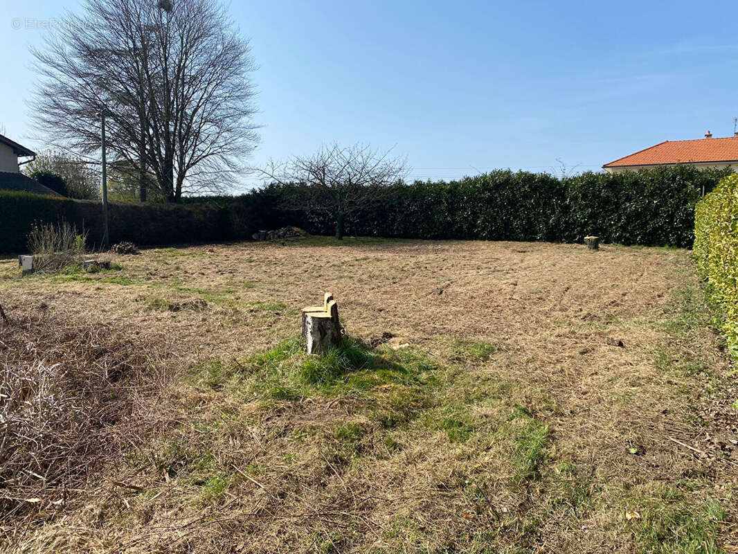 Terrain constructible d'environ 943 m²  secteur calme - Gorrevod 01190 - photo 4