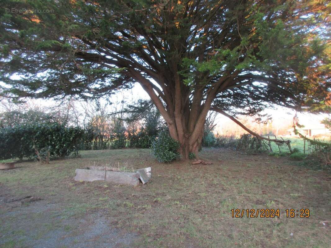jardin - Maison à FAY-DE-BRETAGNE