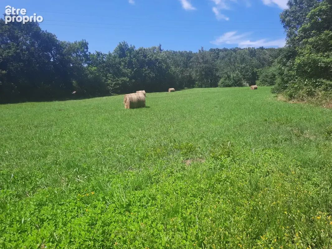 Terrain 7 430 m² à vendre à Noailhac (81490) - photo 2
