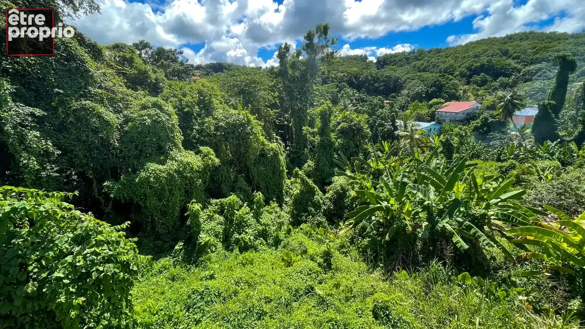 Terrain de 1 194 m2 en vente à Trinité - photo 5