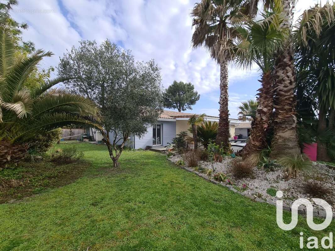 Photo 3 - Appartement à LA TESTE-DE-BUCH