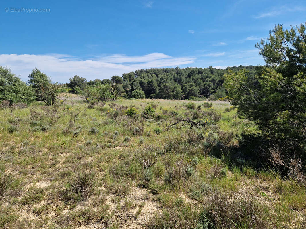 Terrain à NISSAN-LEZ-ENSERUNE