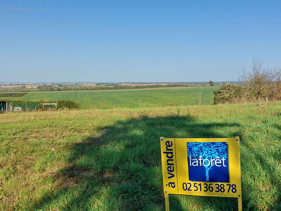 Terrain à CHANTONNAY