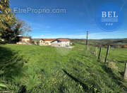 Terrain à CHAZELLES-SUR-LYON