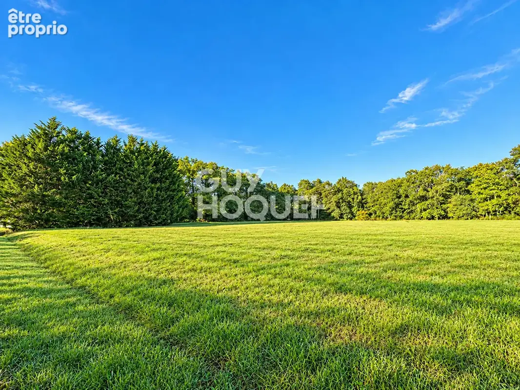 Le Merle Blanc ? Propriété de caractère avec piscine et dépendances sur près de 5 hectares - photo 17