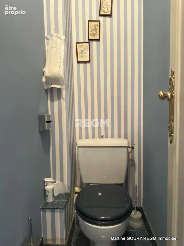 FEROLLES (45)    Maison de 175 m2/sol  7 P  5 chbr - Sous-sol complet  - Parcelle de 3 015 - photo 33