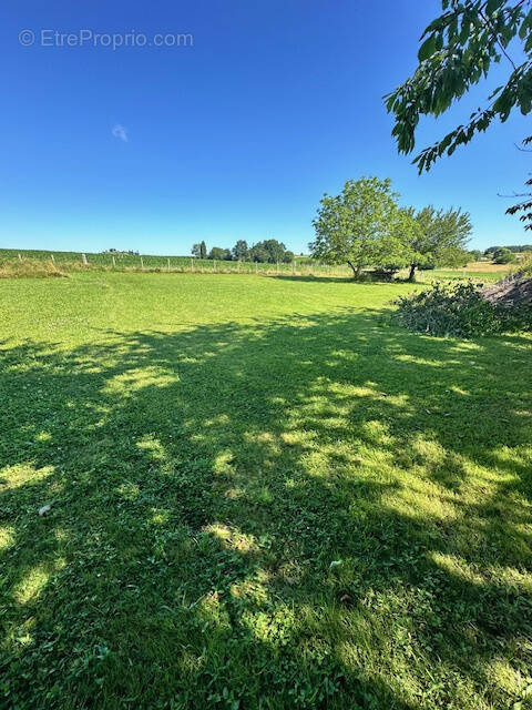 Terrain à YVIERS