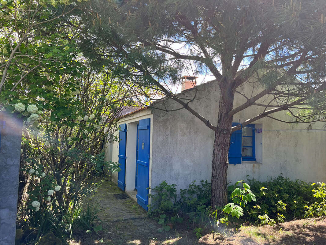 Maison Barbatre 3 pièce(s) 42 m2 - photo 4