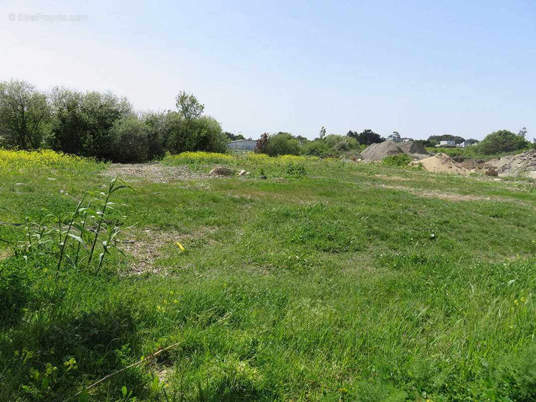Terrain à PIRIAC-SUR-MER