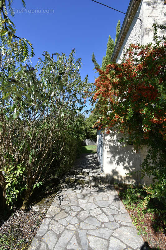 Maison à MONTAIGU-DE-QUERCY