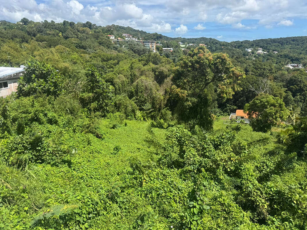Terrain à FORT-DE-FRANCE