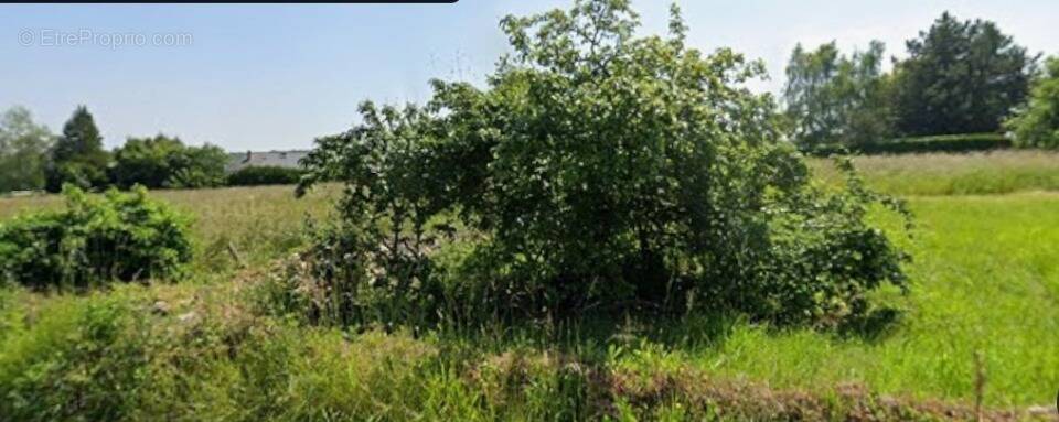 Terrain à SAINT-PIERRE-DE-BAILLEUL