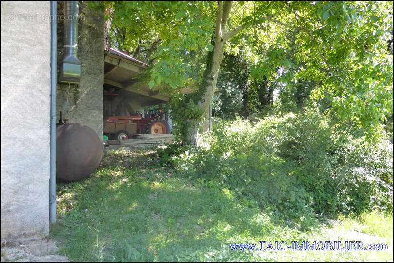 Maison à CORDES-SUR-CIEL