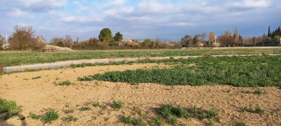 Terrain à CANET