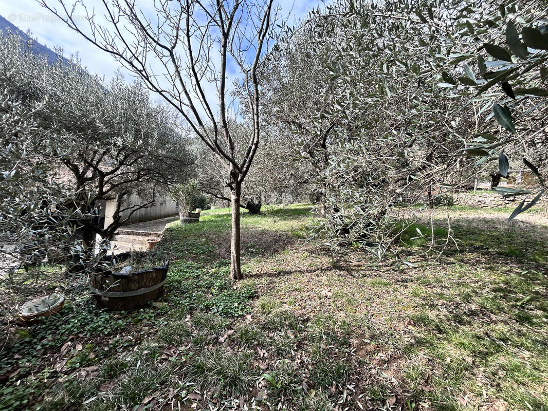 En Cévennes, Maison avec gite et appartement, à vendre - photo 22