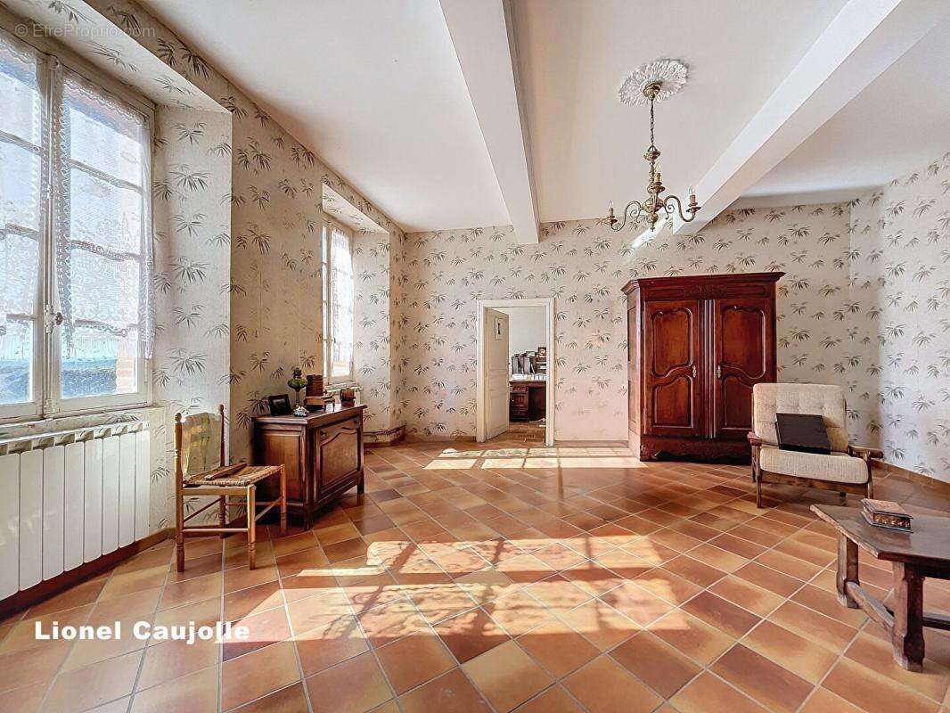 Maison de maître 295 m2 et dépendance à Rabastens - photo 8
