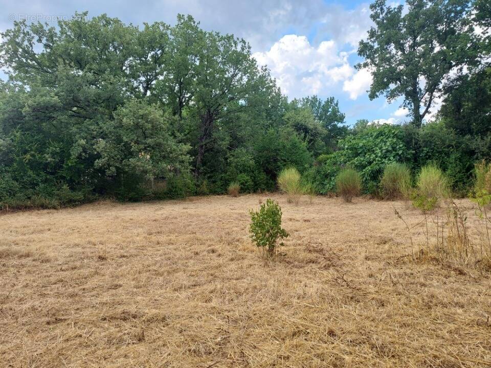 Terrain à GAREOULT