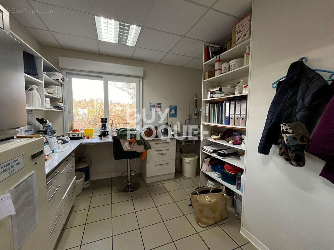 Commerce à SAINT-SEVER