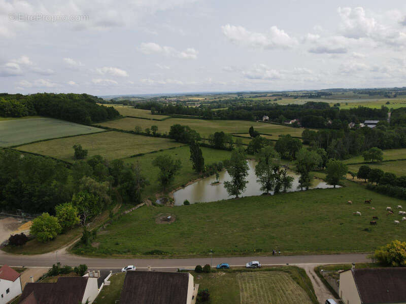 Terrain à L'ISLE-SUR-SEREIN