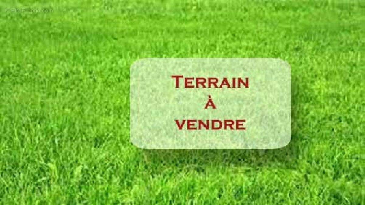 Terrain à PLESSIS-SAINT-JEAN