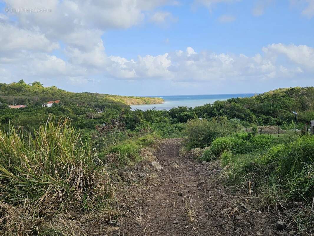 Terrain à LE DIAMANT