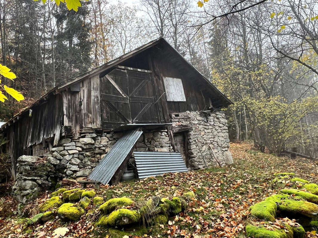 Autre à SAINT-REMY-DE-MAURIENNE