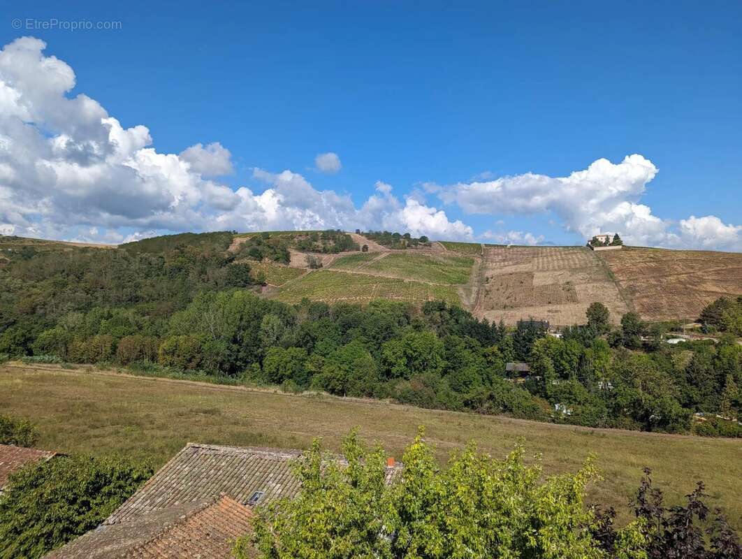 MAISON ANCIENNE 290 m² / jardin 400 m² - photo 6