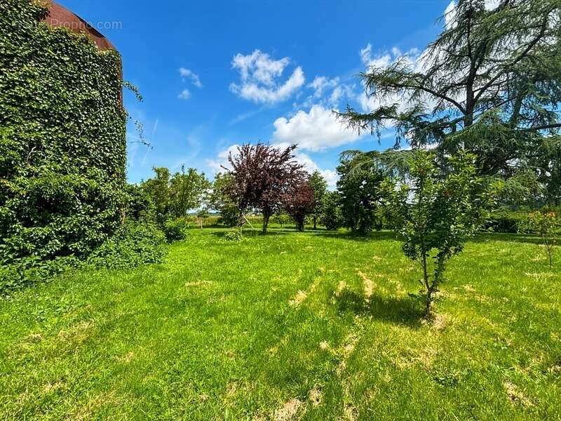 Maison à LAGRAULET-DU-GERS