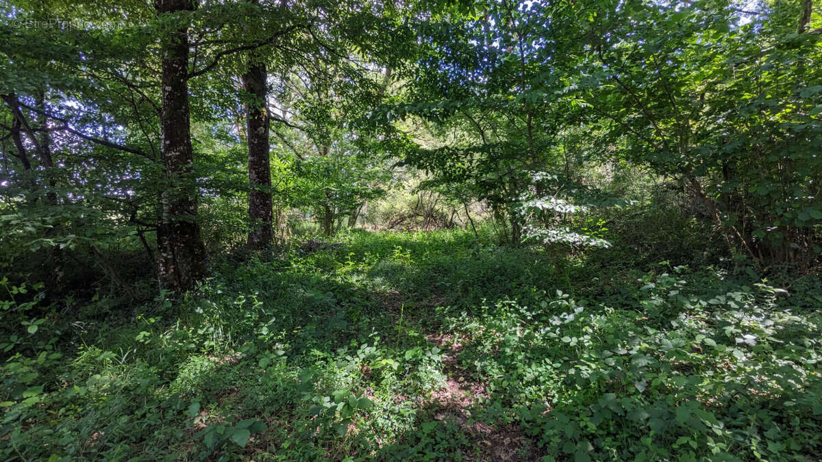Terrain à USSON-DU-POITOU