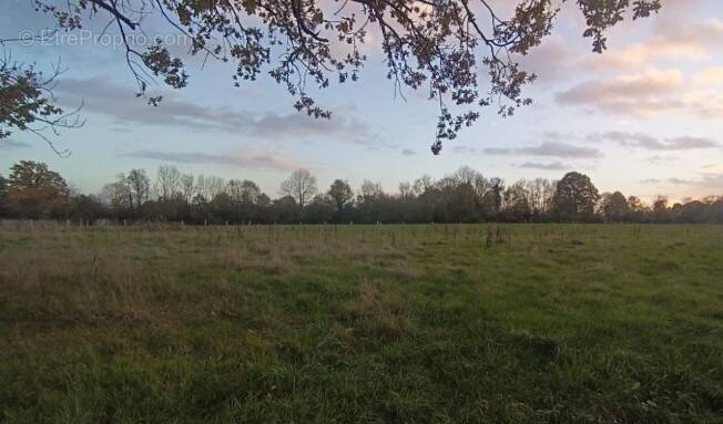 Terrain à SAINT-PHILBERT-DES-CHAMPS