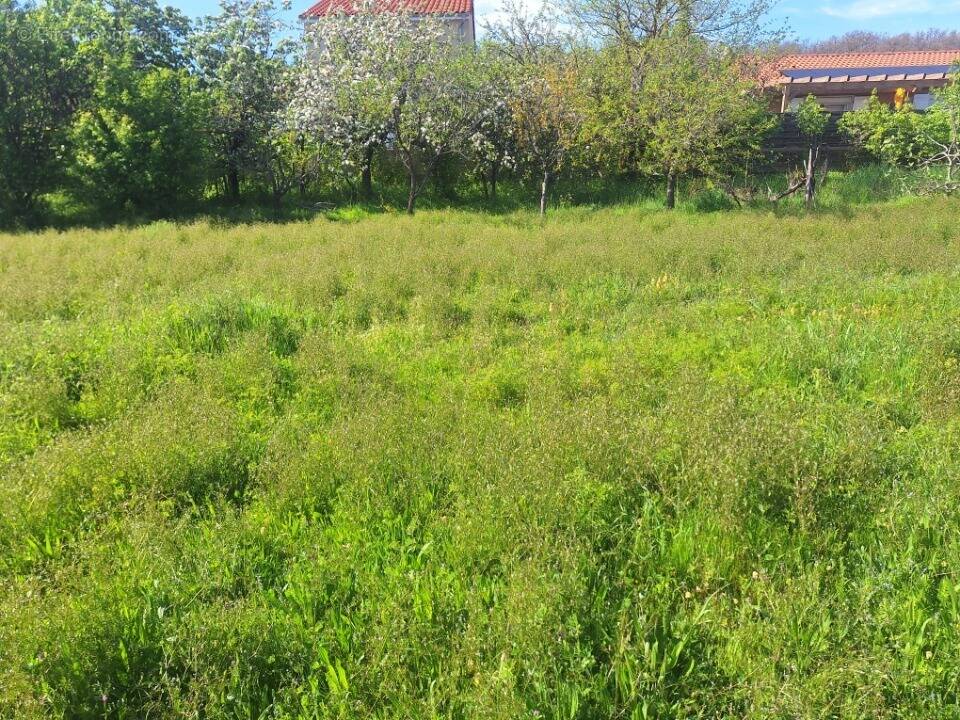 Terrain à COLOMIERS