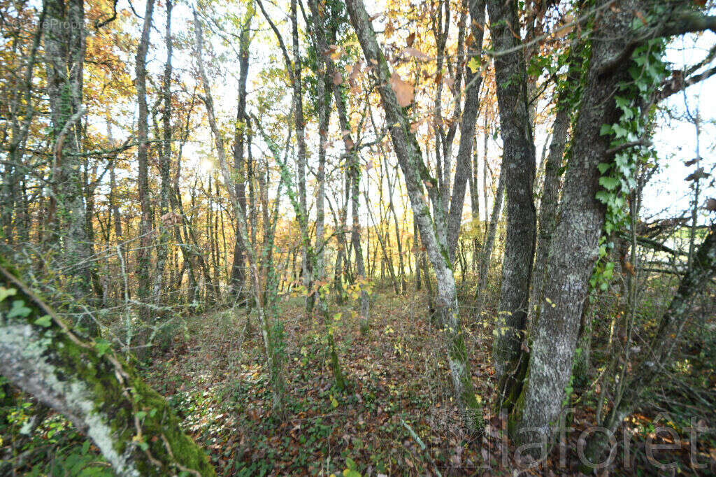 Terrain à SALVAGNAC