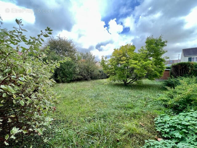 Terrain à BRIE-COMTE-ROBERT