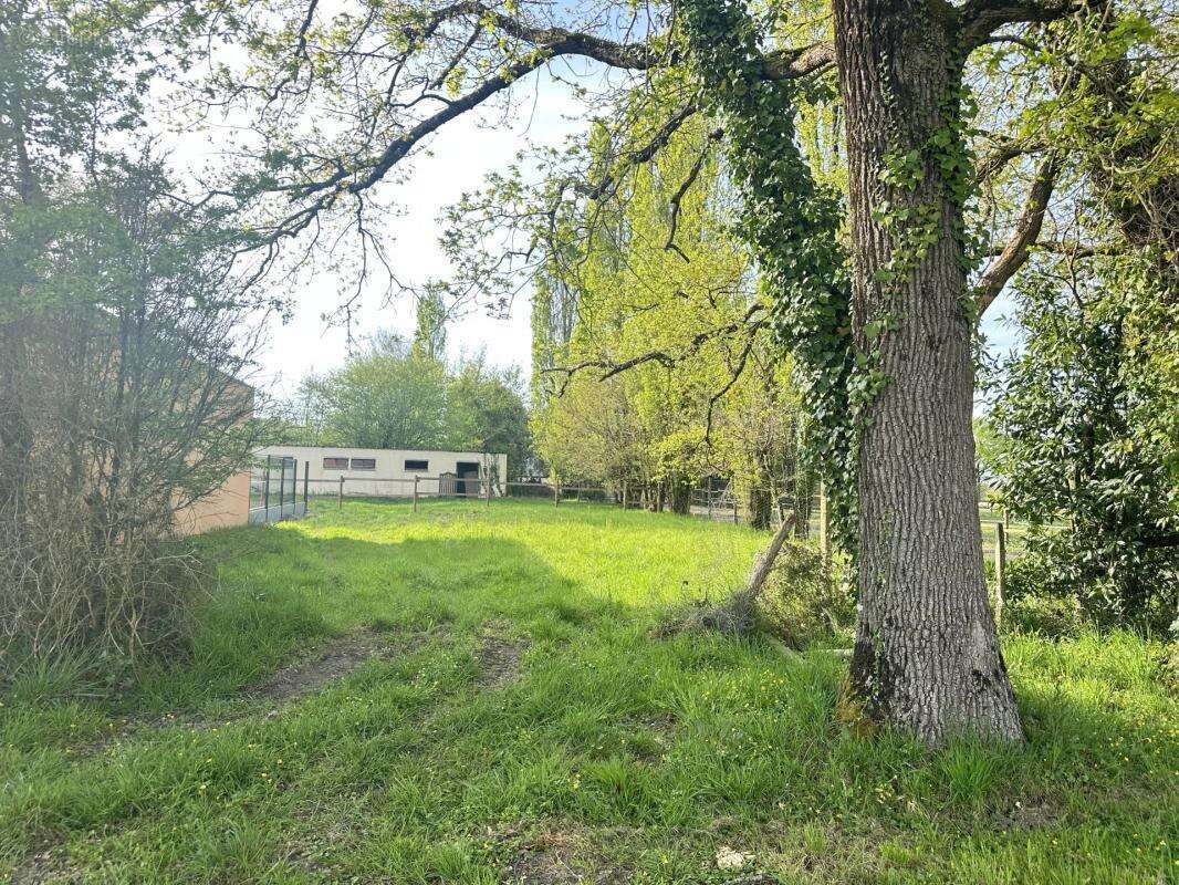 Terrain à LE CELLIER